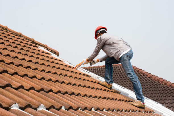 Best Roof Moss and Algae Removal  in Johnstown, PA